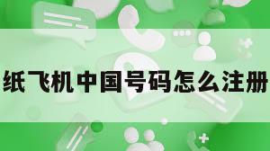 纸飞机中国号码怎么注册